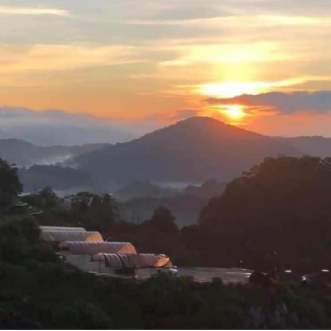 Kensington Sunrise At Sg Palas,Palashorizon Tanah Rata Eksteriør billede